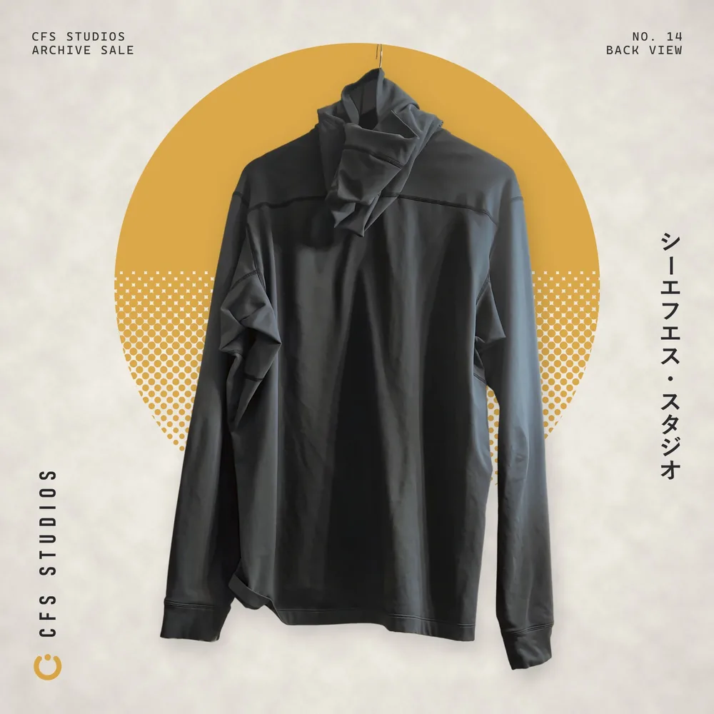 Arc'teryx Balaclava-Hood Pullover Hoody, back
